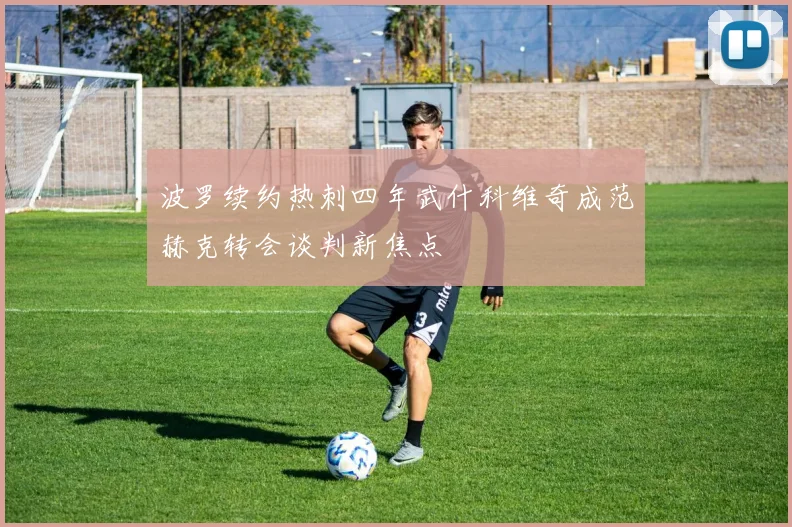波罗续约热刺四年武什科维奇成范赫克转会谈判新焦点