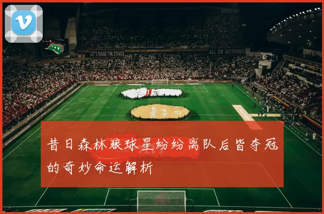 昔日森林狼球星纷纷离队后皆夺冠的奇妙命运解析